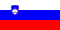 flag_of_slovenia.svg.png